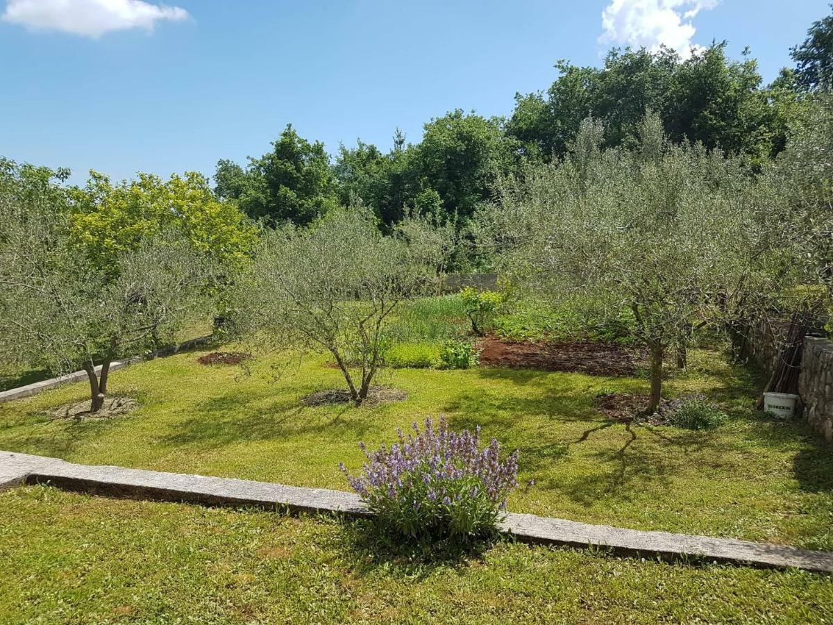 Apartmani Mariela Labin  Exteriör bild
